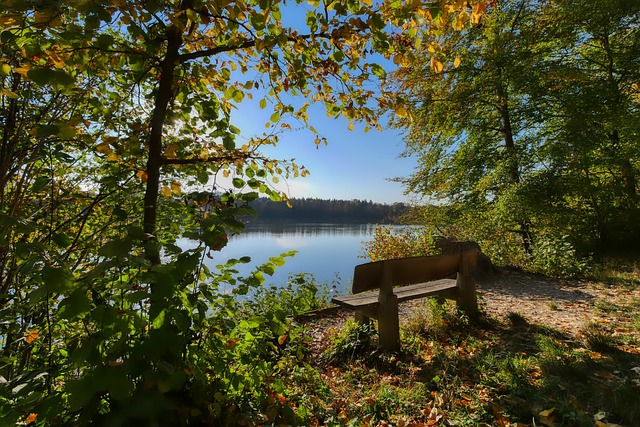 使得迪亚斯 使得迪亚斯