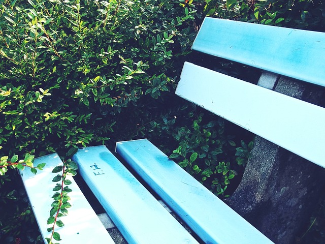 职业生涯的 职业生涯的