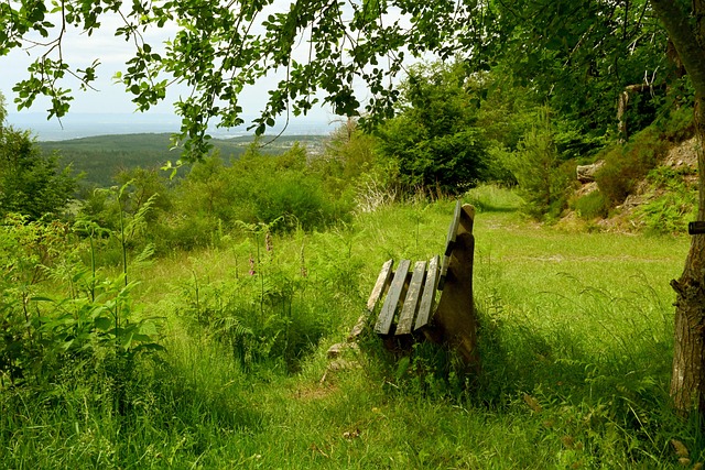 以做出相应 以做出相应